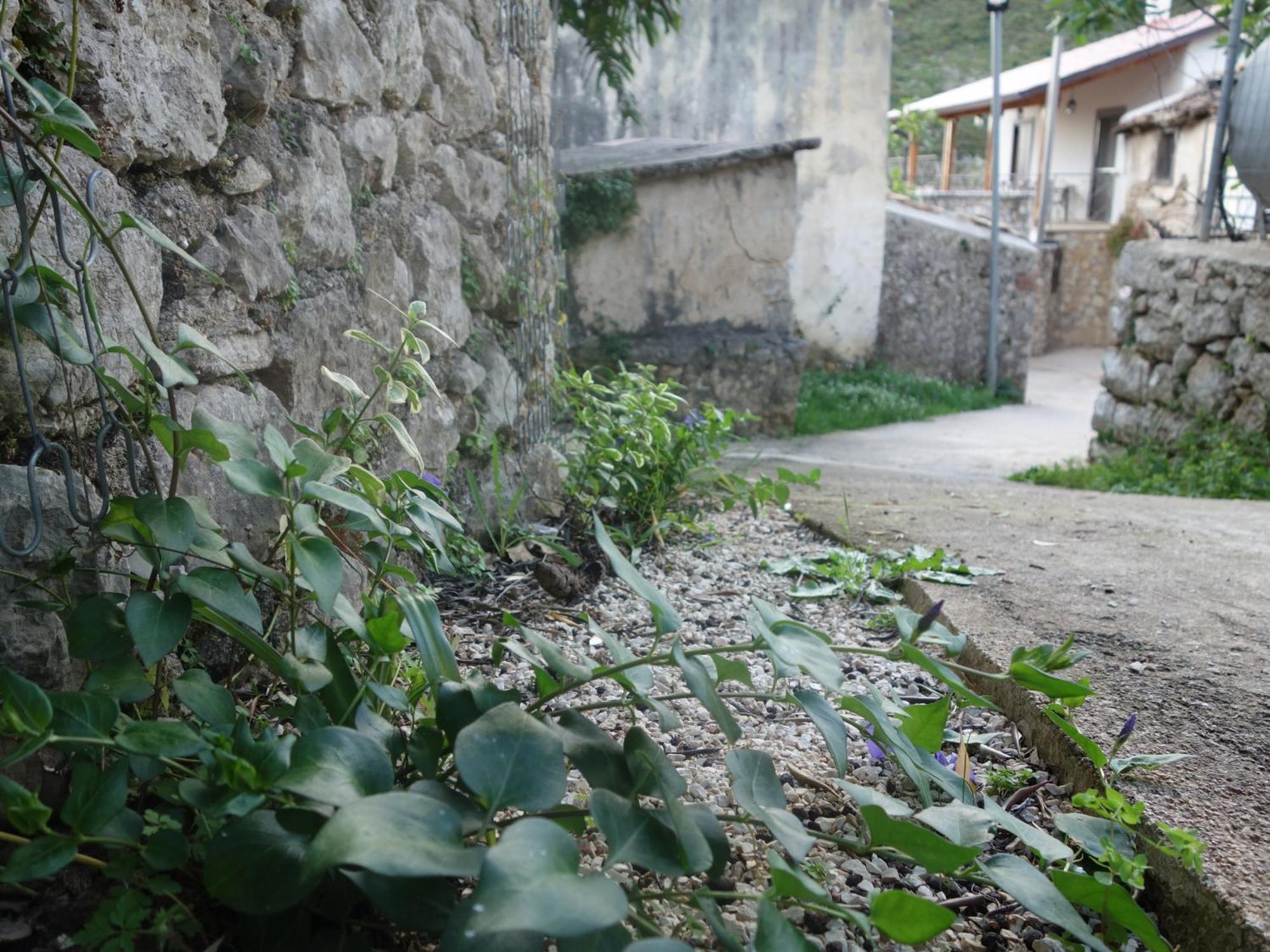 Guesthouse Near The Castle Of Himarë Exterior foto